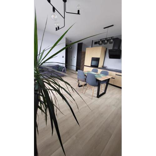 Apartament SOLO