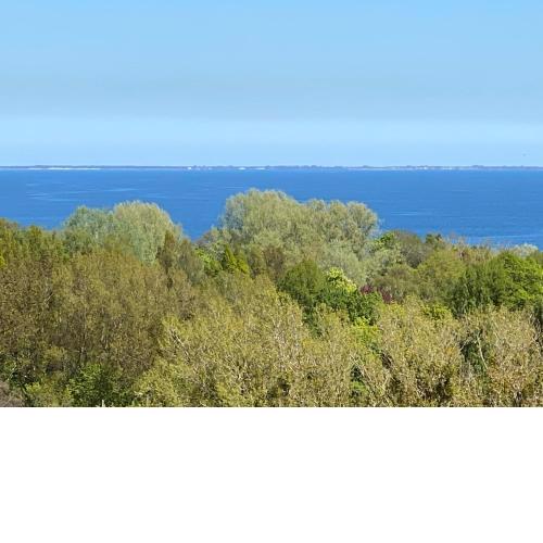 Apartament Sopot Oliwia III