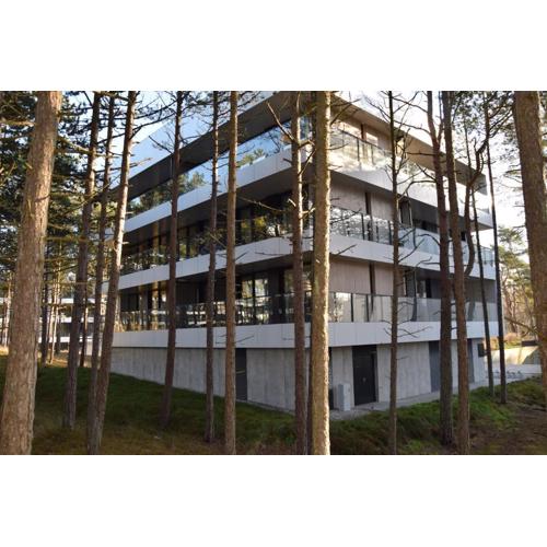 Apartament Sosnowy Shellter Rogowo