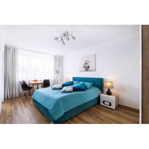 Apartament Stag Karkonosz - 2 osobne pokoje - 38m2