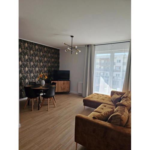 Apartament Staromiejski Rapackiego 45
