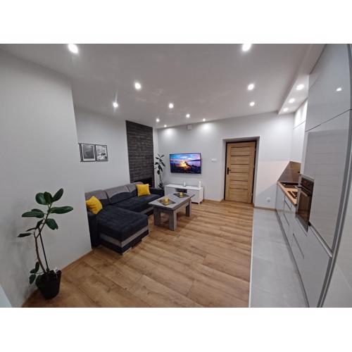 Apartament Staszica
