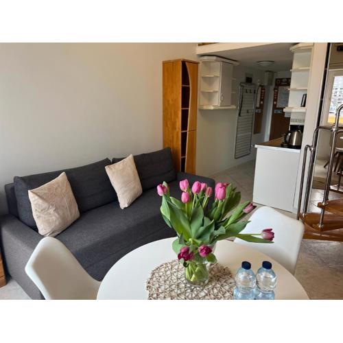 Apartament STATEK 114-blisko morza