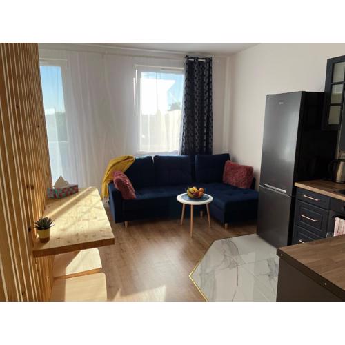 Apartament Stogi