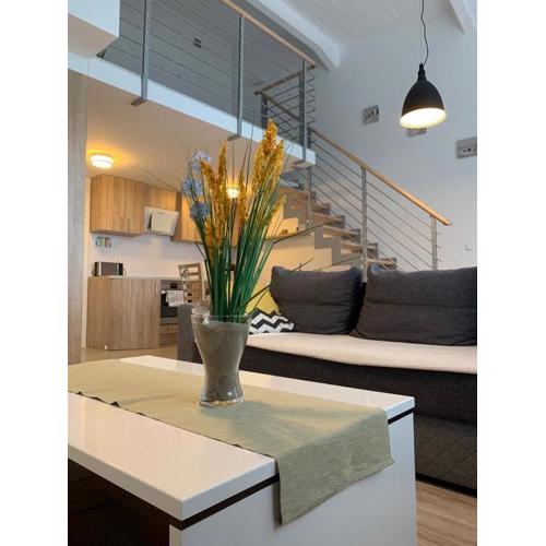 Apartament Stone Podczele Kołobrzeg
