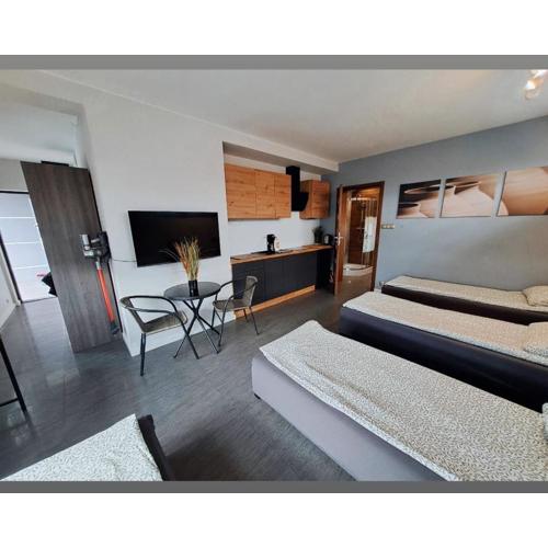Apartament studio PIANO