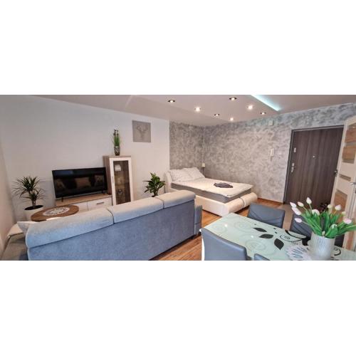 Apartament-Studio Polana Szaflarska
