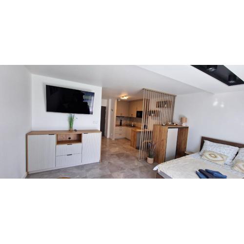 Apartament-Studio