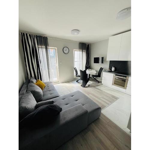 Apartament Studzienna