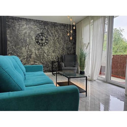 Apartament SZARY przy Arenie Lodowej