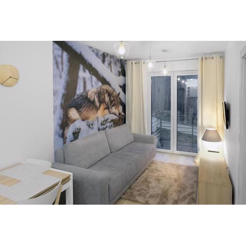 Apartament Szary Wilk