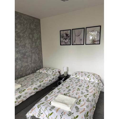 Apartament Szpitalna