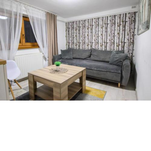 APARTAMENT TAJEMNICZY OGRÓD ŚCISŁE CENTRUM ZAKOPANE