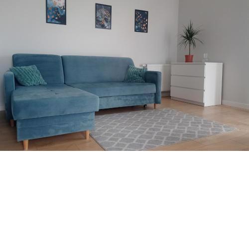 Apartament targowy