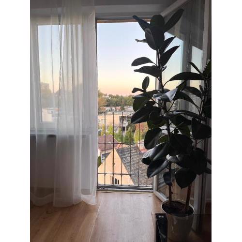 Apartament Tauron Arena