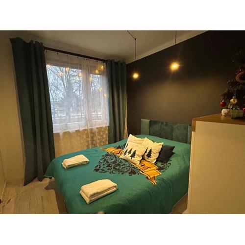 Apartament Terebelska P