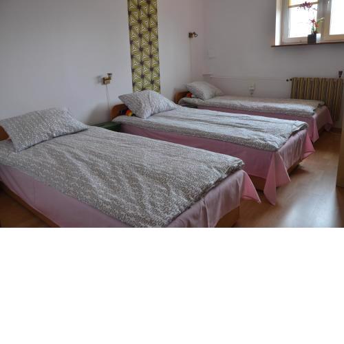 Apartament Tolek