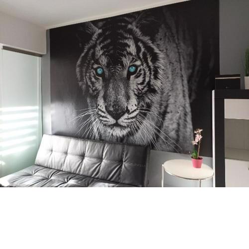 Apartament Tygrys