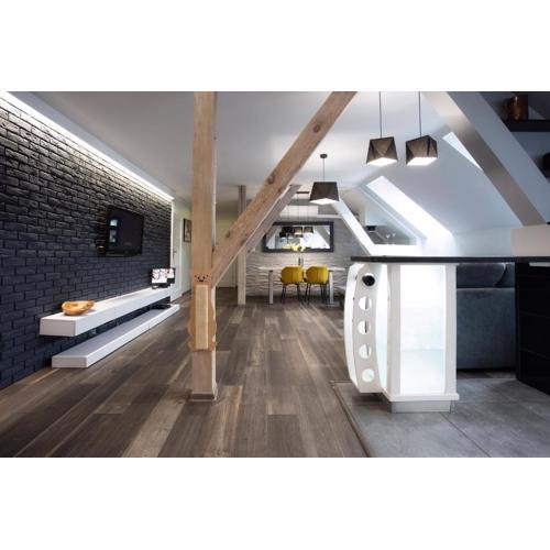 Apartament Tyniecki