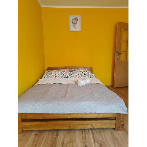 Apartament u Alicji