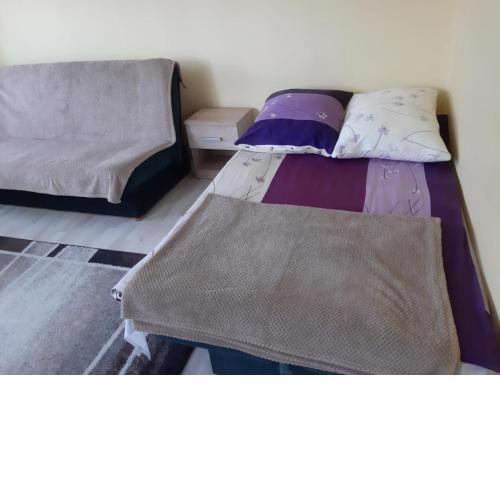 Apartament u Basi