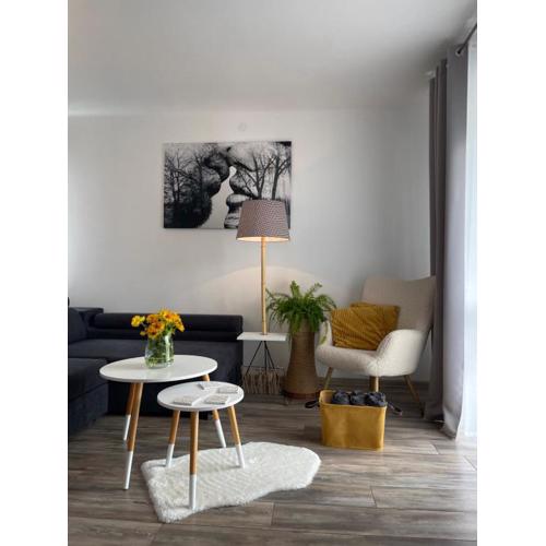 Apartament u Gogoca II