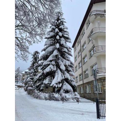 Apartament u Maliny