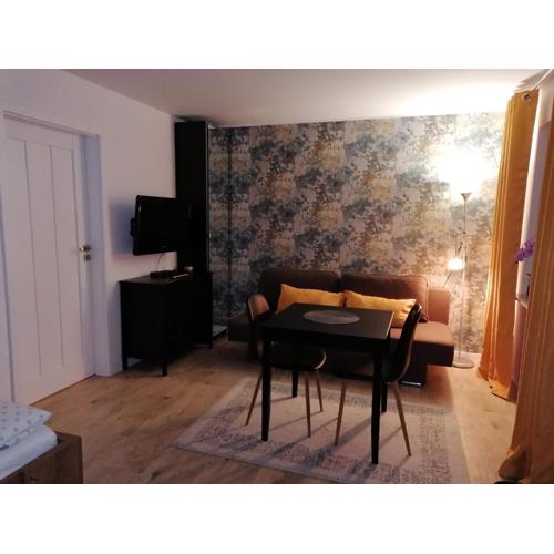 Apartament u Przewodnika Sudeckiego