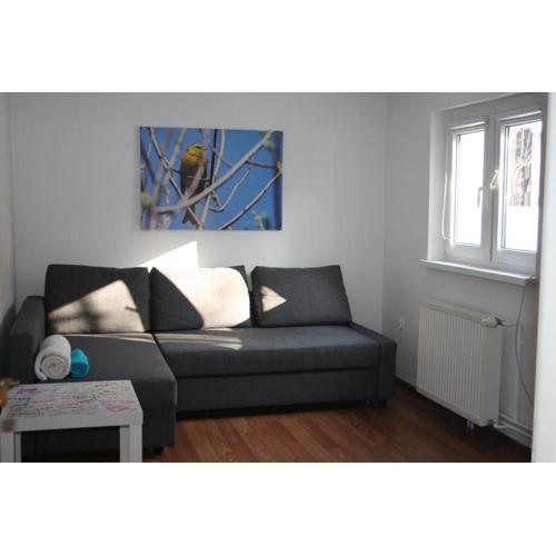 Apartament u Sikorek