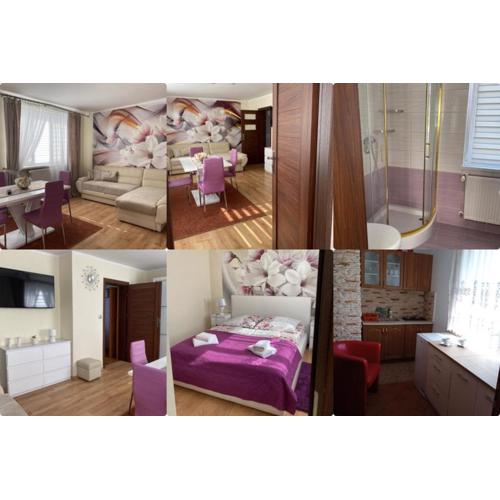 Apartament u Wioli