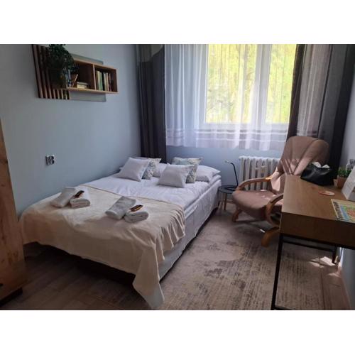 Apartament u Zegarmistrza z garażem