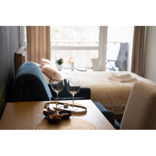 Apartament Ustroń 20