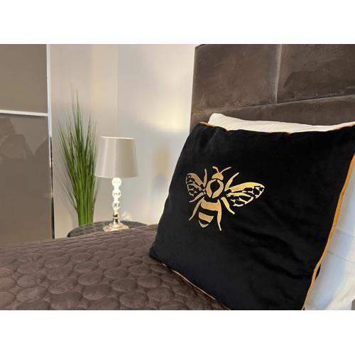 APARTAMENT VELVET