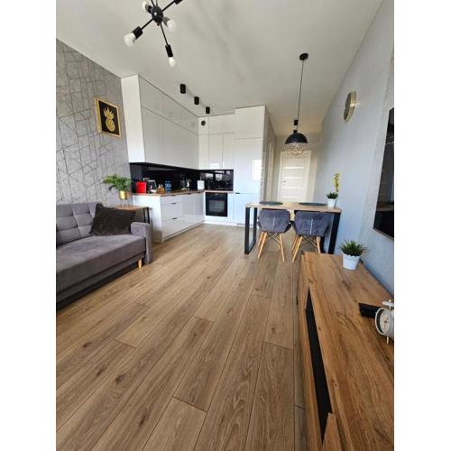 Apartament Ventus Business and Living 46