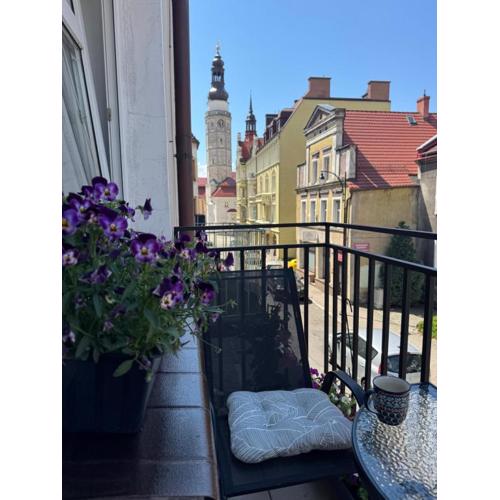 Apartament Vikicentrum