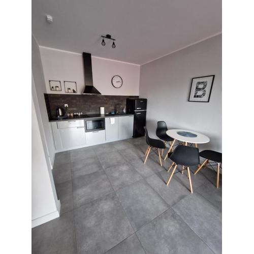 Apartament w Bieszczadach 2