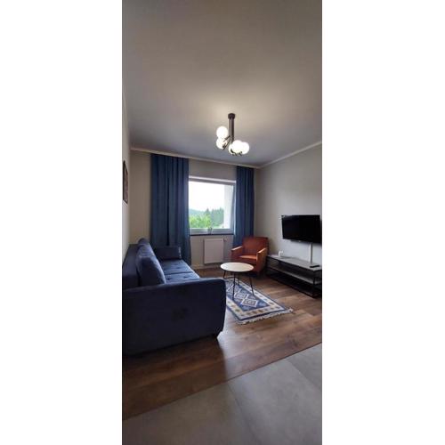 Apartament w Bieszczadach