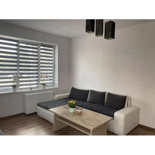 Apartament w Centrum Malborka