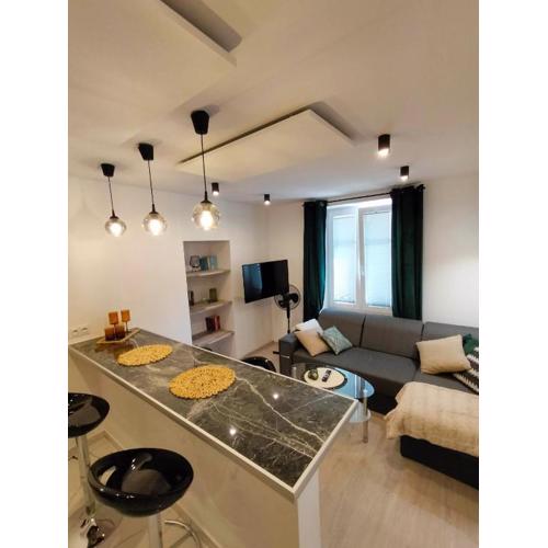Apartament w centrum miasta przy parku i jeziorze