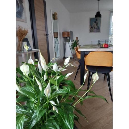 Apartament w centrum z panoramą miasta