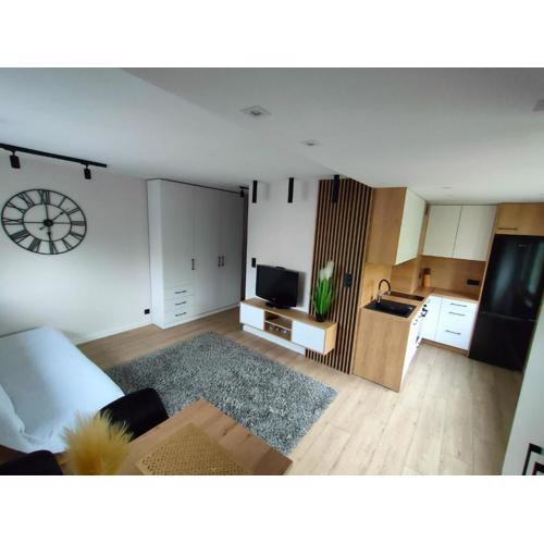 Apartament w Centrum