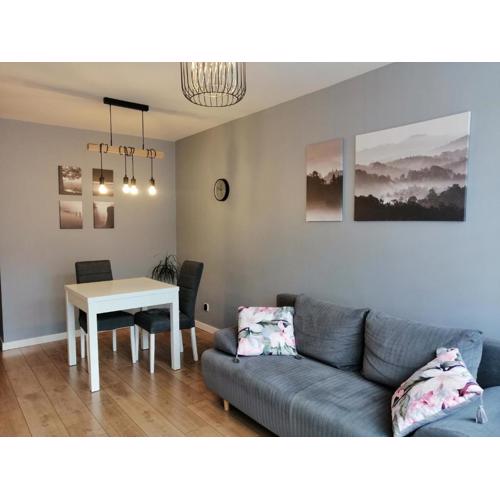 Apartament w Centrum