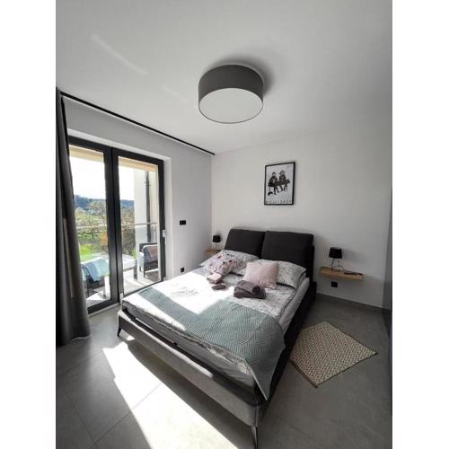 Apartament w Dolinie Sanu