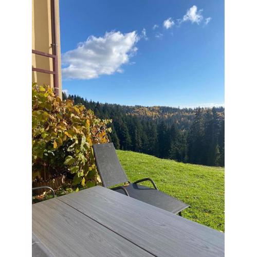 Apartament w górach Gorce