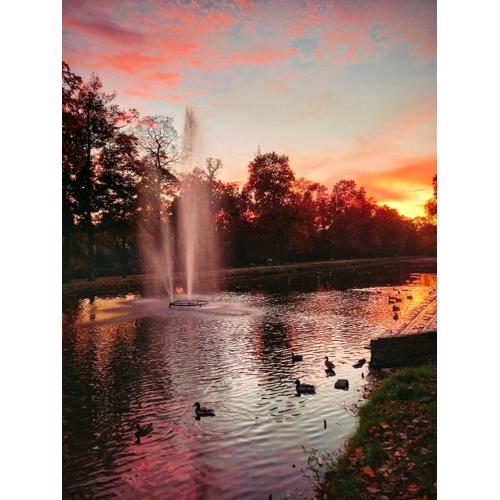 Apartament w Parku nad Kanałem