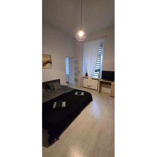 Apartament W SERCU PARKU 2