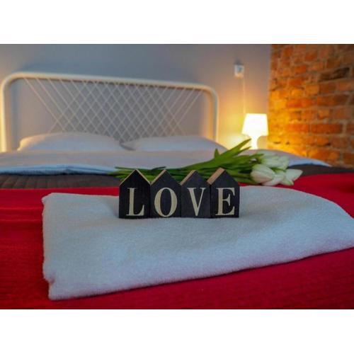 Apartament w Sercu Torunia