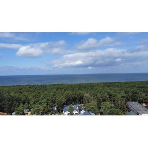 Apartament w sosnowym lesie