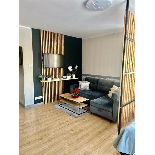 Apartament Walczaka 42 MIEJSCE PARKINGOWE