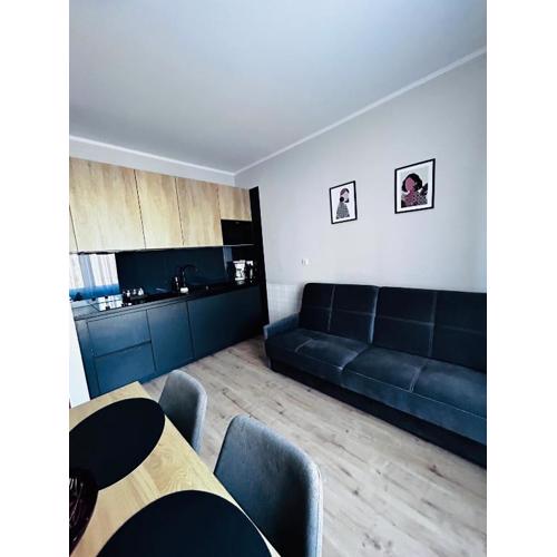 Apartament Walczaka 43 MIEJSCE PARKINGOWE